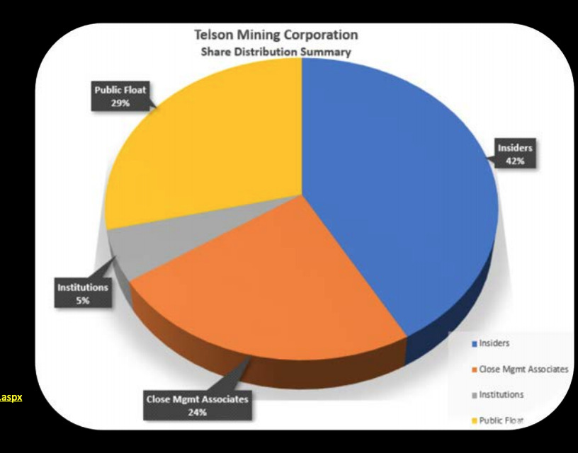 Telson Mining Stock - Share Structure