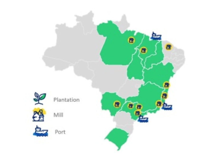 Suzano - Operation Locations